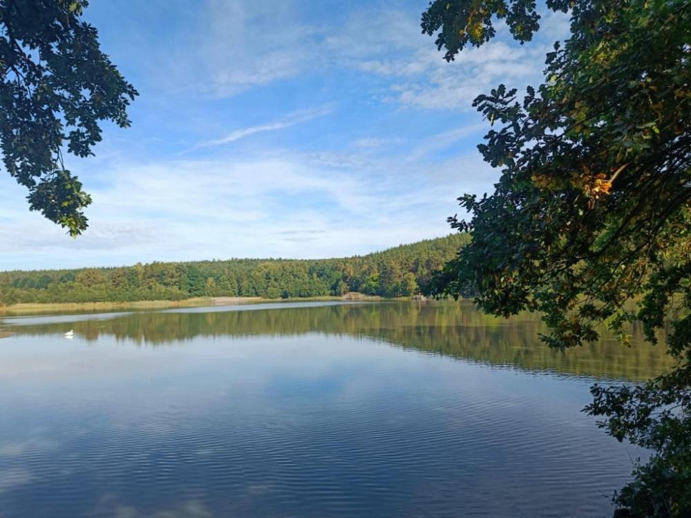 Relaxklub Villa S Wellness Tremosna Bagian luar foto