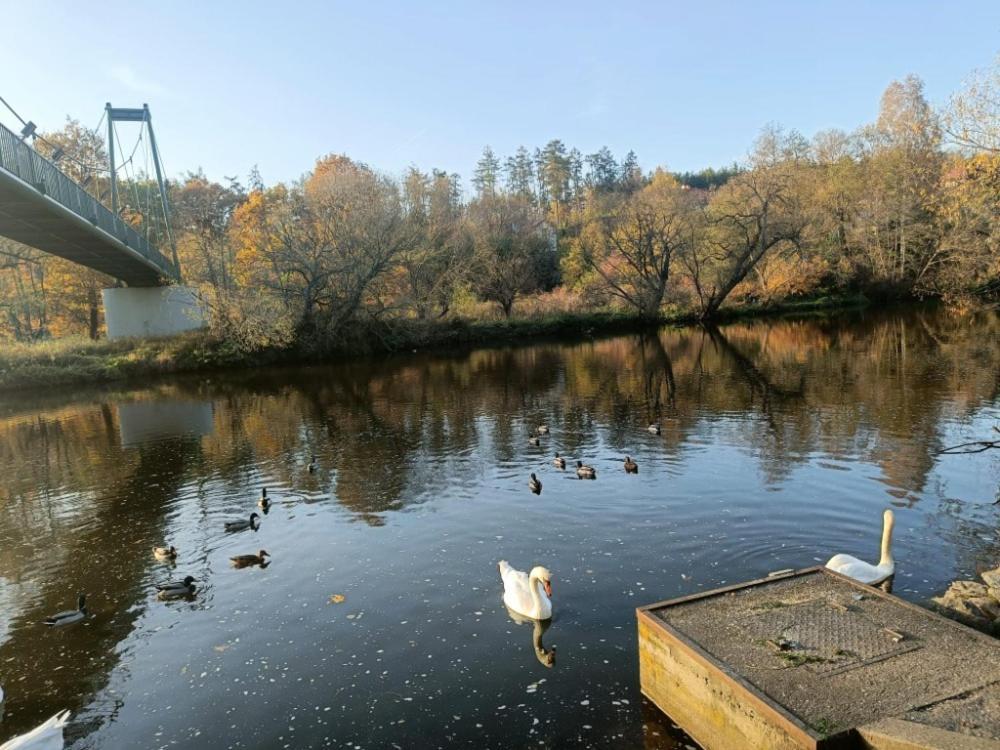 Relaxklub Villa S Wellness Tremosna Bagian luar foto
